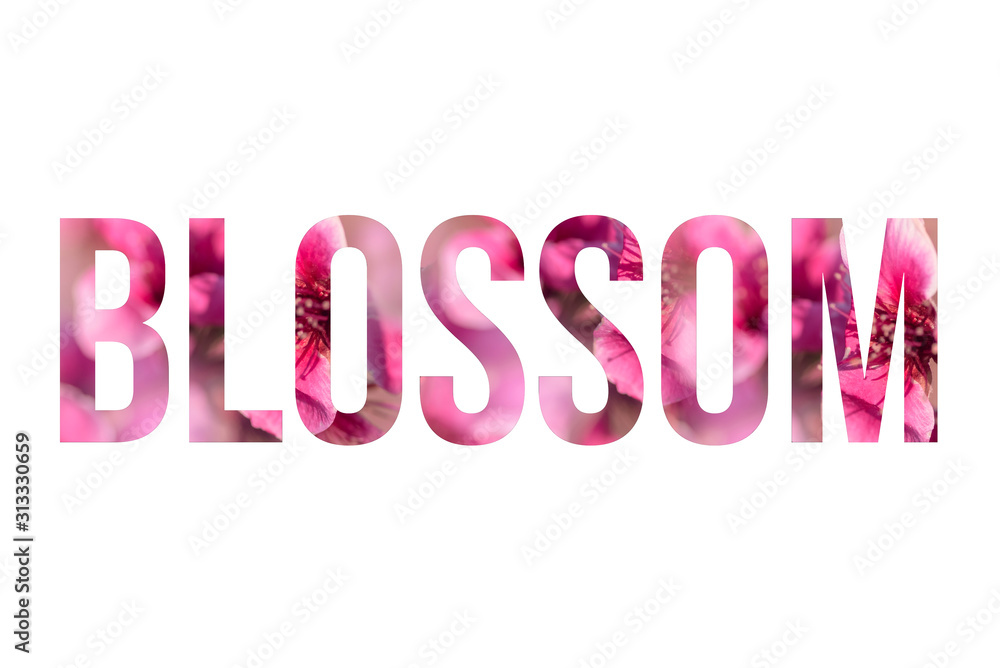 Pink blossom font word BLOSSOM made of sakura flowers on white background with paper cut shape of letter. Collection of flora font for your unique decoration in summer