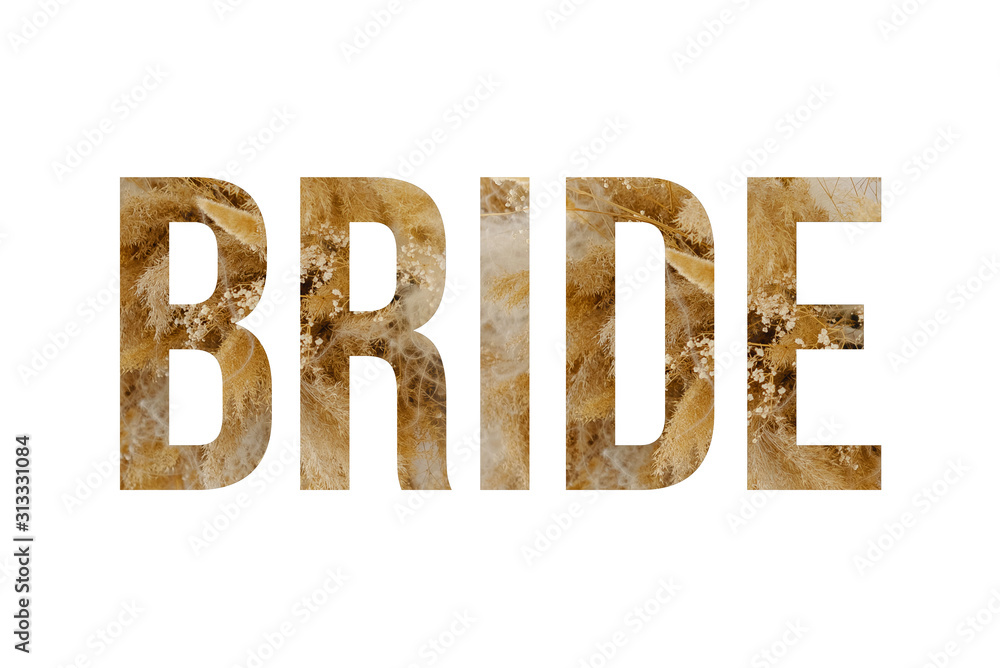 Rustic font word BRIDE made of reeds on white background with paper cut shape of letter. Collection of flora font for your unique Rustic font word BRIDE made of reeds on white background with paper cut shape of letter. Collection of flora font for your unique