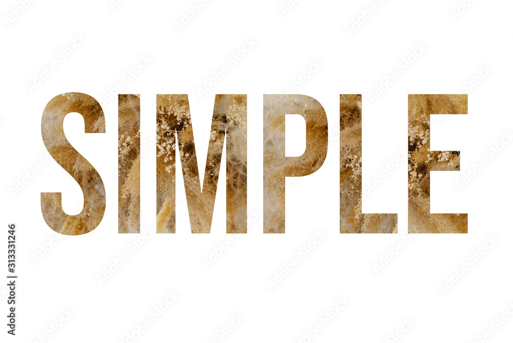Rustic font word SIMPLE made of reeds on white background with paper cut shape of letter. Collection of flora font for your unique Rustic font word SIMPLE made of reeds on white background with paper cut shape of letter. Collection of flora font for your unique