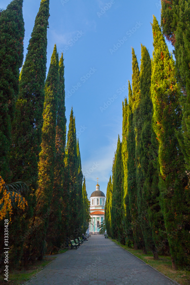 Russia. Iverskaya Church in Sochi. Cypress alley. Sunny day