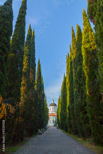 Obraz na płótnie Russia. Iverskaya Church in Sochi. Cypress alley. Sunny day w salonie