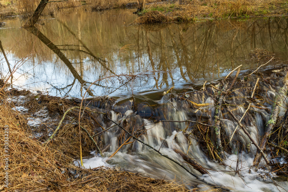 A beaver dam overflows after heavy rains. A beaver dam overflows after heavy rains.