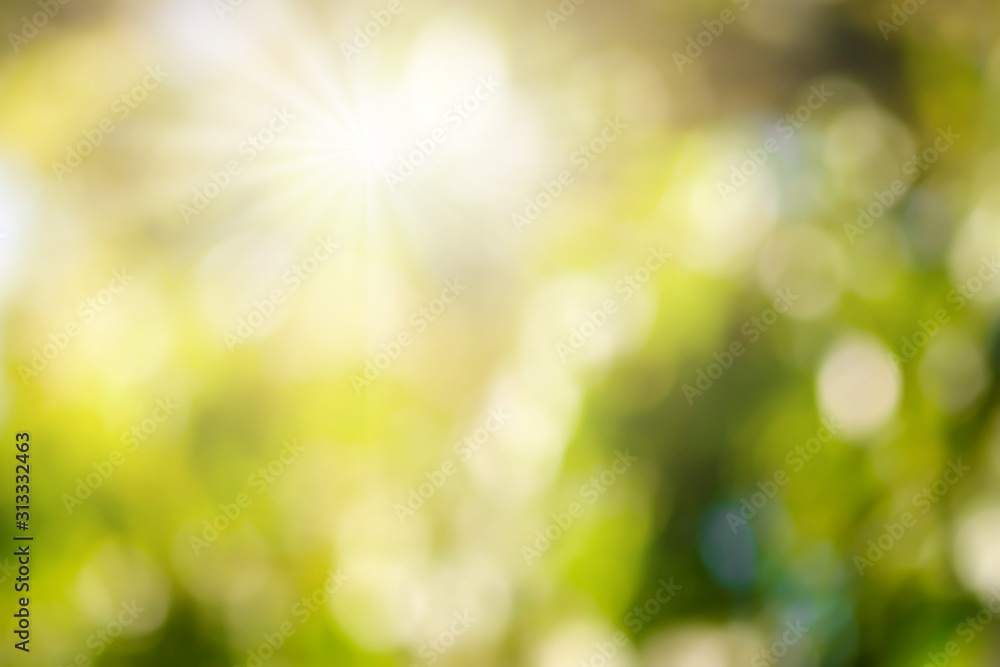 Bokeh blur tree nature background with sunlight on summer. Spring season. Bokeh blur tree nature background with sunlight on summer. Spring season.