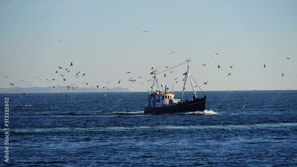 Fishing boat sailing on ocean with flock of birds in Denmark