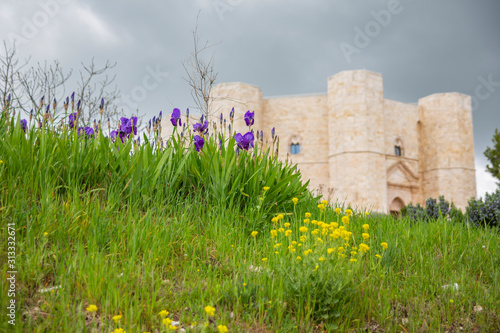 Flowers In Front Of Famous Fortress Castel Del Monte In Puglia, Italy