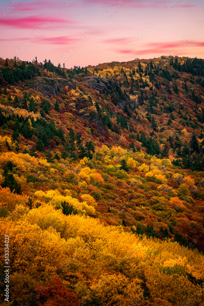 Fototapeta premium autumn