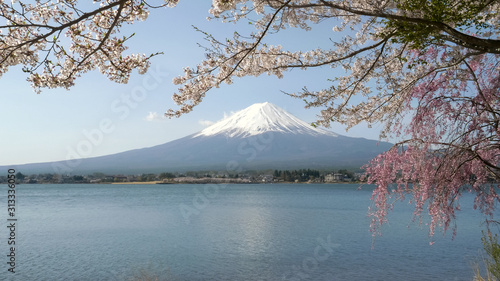 mount fuji calm and a calm lake kawaguchi © chris