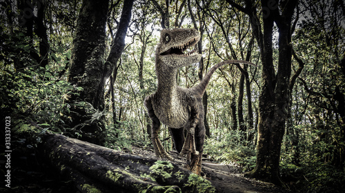 Velociraptor Dinosaur  in the  Rainforest photo