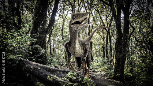 Schilderij op canvas Velociraptor Dinosaur  in the  Rainforest