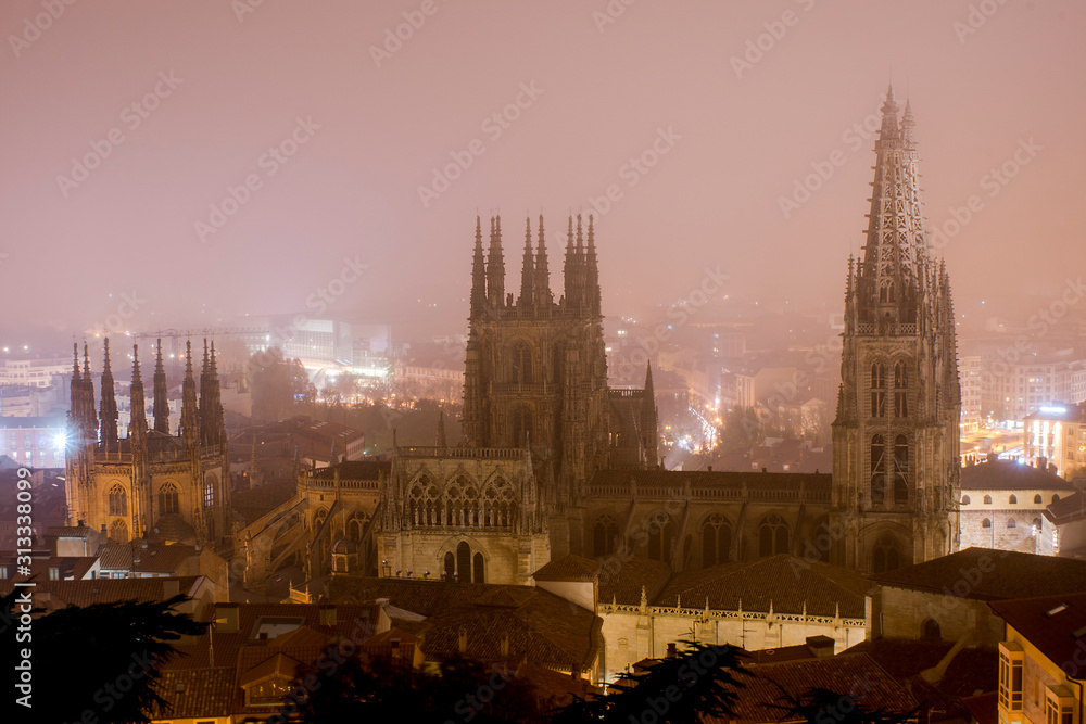 Fototapeta premium catedral de Burgos