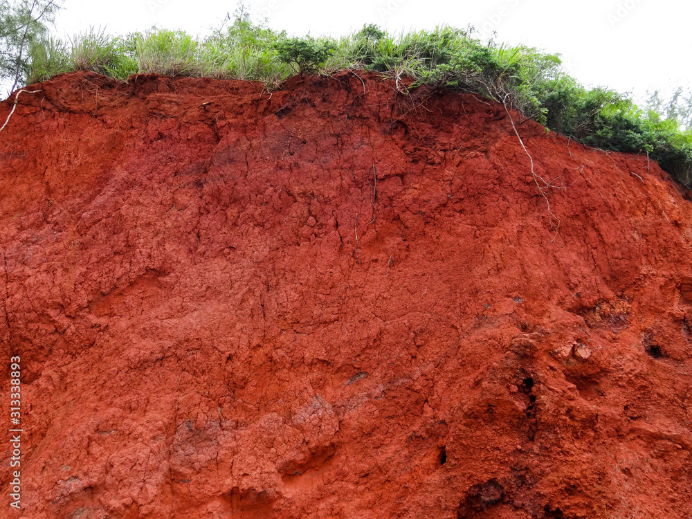Vivid red clay dirt crumbles on a hill alongside a road on Maui, showing a  fringe of green grass and shrubs at the top. Stock Photo