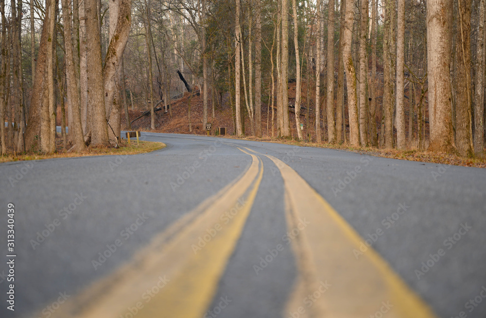 Obraz premium Looking down the double yellow lines on a country road. The tree line road curves off in the distance on a cold winter day.