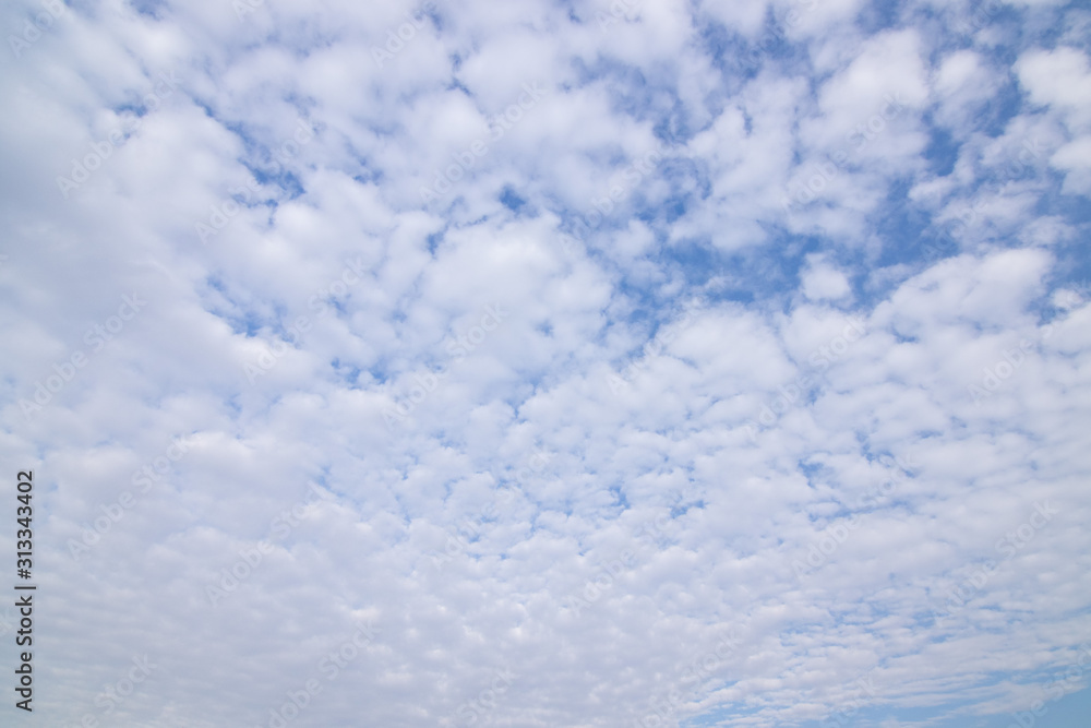 Fototapeta premium Overcast Day 03