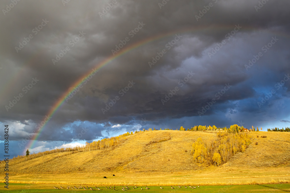 Ταπετσαρία Rainbow near Jackson Hole Wyoming with a flock of geese