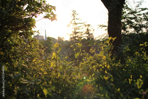 autumn in the park
