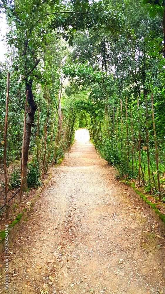 Green covered pathway into a secret garden Green covered pathway into a secret garden