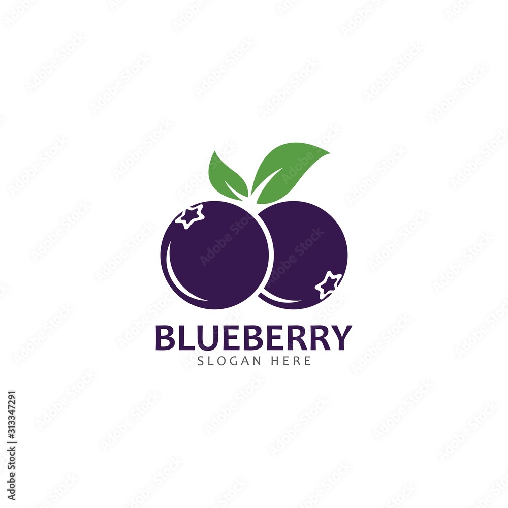 Blueberry logo vector template icon illustration