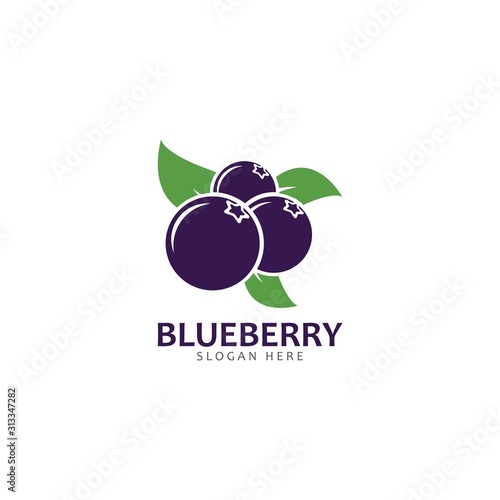Blueberry logo vector template icon illustration