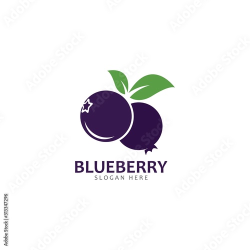 Blueberry logo vector template icon illustration