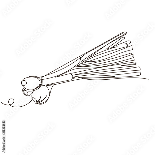 green onion. vector contour image of a bunch of fresh greens. one line. continuous line