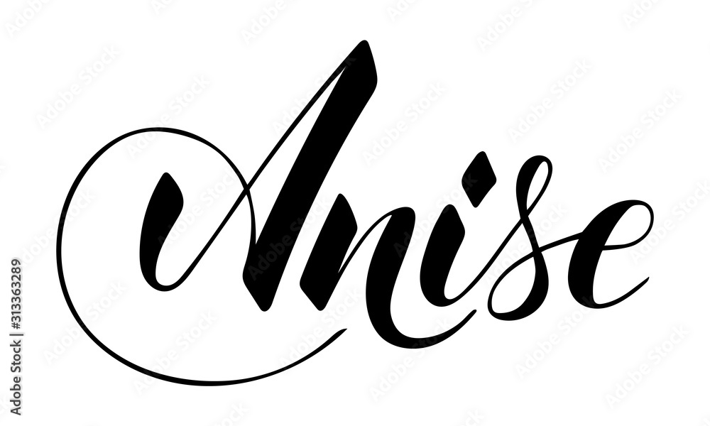 Vector hand written anise text isolated on white background. Kitchen healthy herbs and spices for cooking. Script brushpen lettering with flourishes. Handwriting for banner, poster, product label Vector hand written anise text isolated on white background. Kitchen healthy herbs and spices for cooking. Script brushpen lettering with flourishes. Handwriting for banner, poster, product label