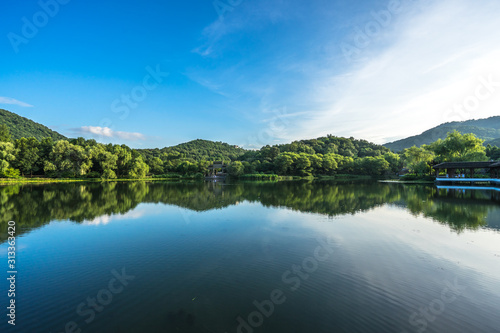 lake in forest