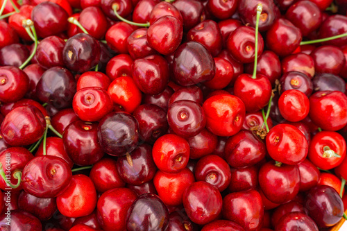 Pile of ripe cherries with stalks and leaves. Large collection of fresh red cherries. Ripe cherries background.