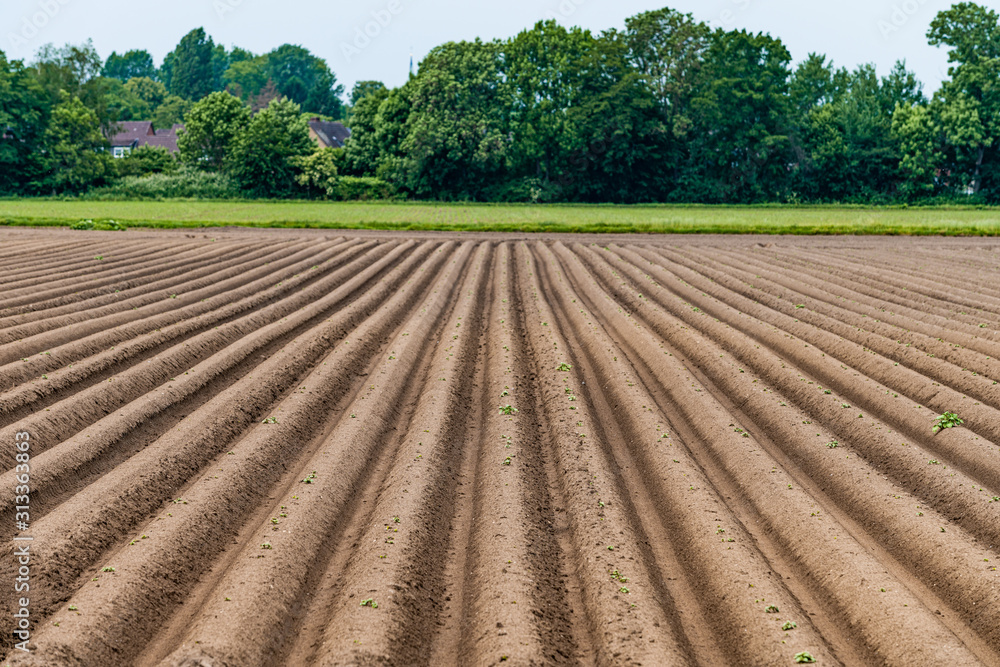 Ploughed field, springtime agricultural background