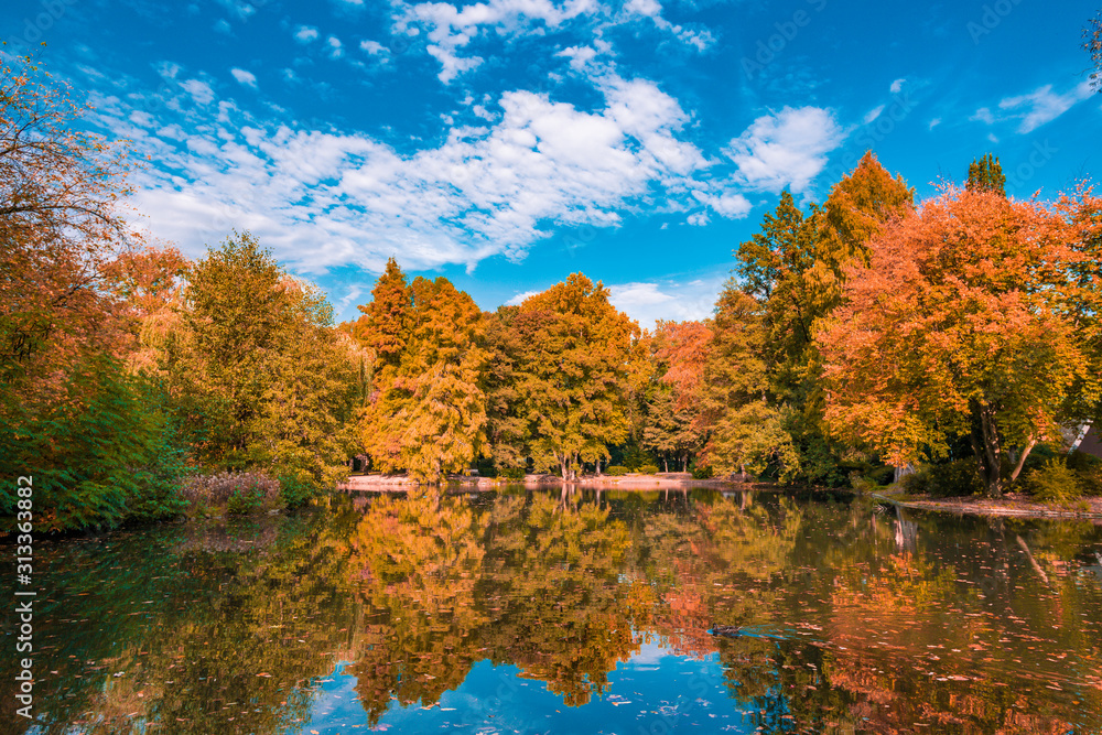 Fototapeta premium Autumn landscape beautiful colored trees