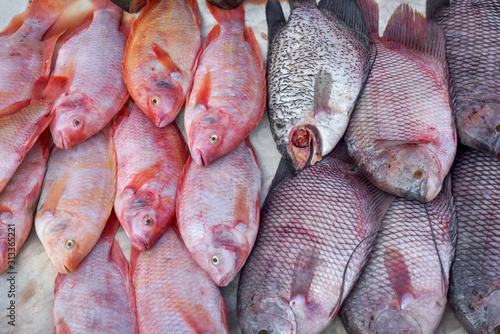 Fresh fish sales in market.