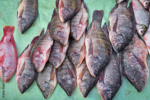 Fresh fish sales in market.