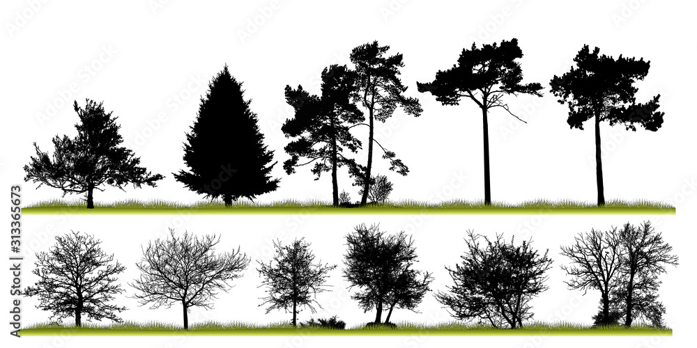 Naklejka vector illustration of a set of silhouettes of natural trees on a white background