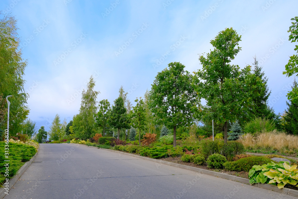 The road in the city park along ornamental shrubs and trees on autumn day. The road in the city park along ornamental shrubs and trees on autumn day.