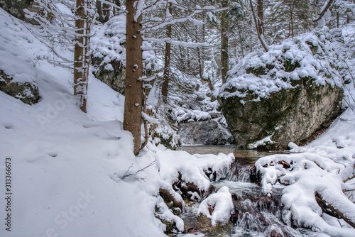 Winter landscape in mountains with river and beautifully snowy trees, Slovakia Mala Fatra, Janosikove hole