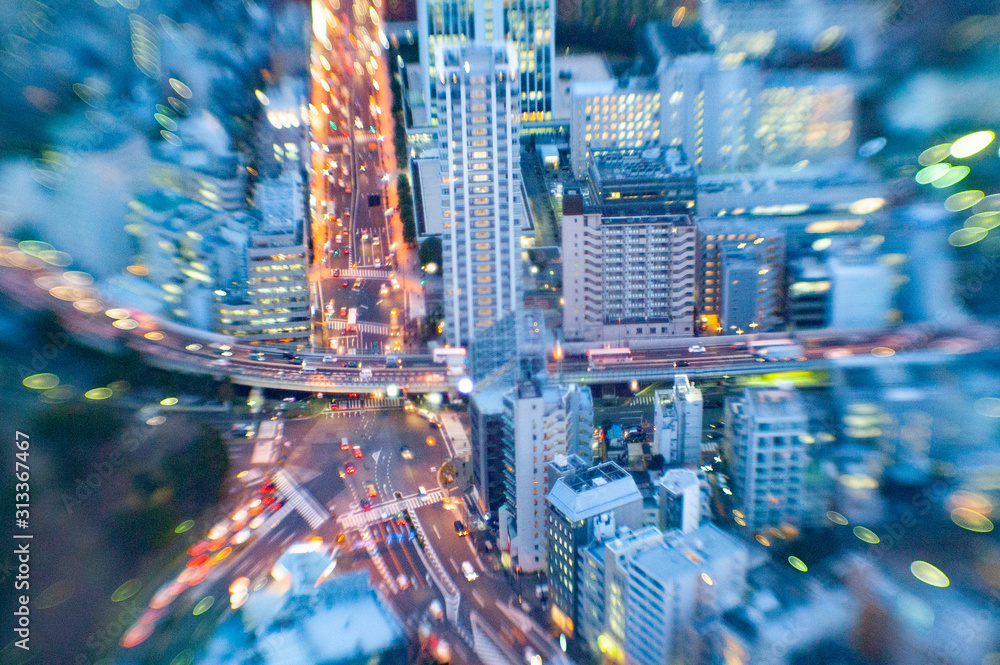 Fototapeta premium 東京