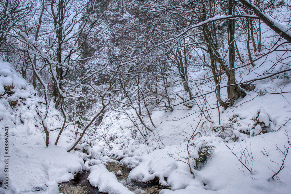 Winter landscape in the valley of mountains with a beautiful stream and snow around, Slovakia Mala Fatra, Janosik Holes Winter landscape in the valley of mountains with a beautiful stream and snow around, Slovakia Mala Fatra, Janosik Holes