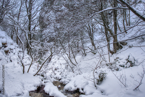 Winter landscape in the valley of mountains with a beautiful stream and snow around, Slovakia Mala Fatra, Janosik Holes photo