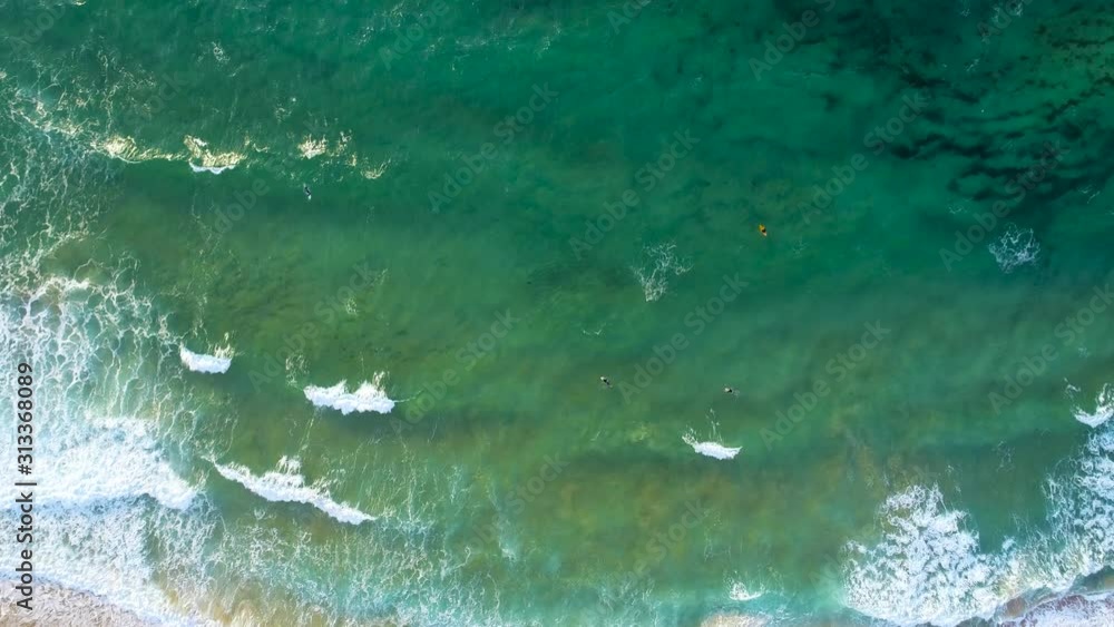 Australian surfers, surfing in Sydney Australian surfers, surfing in Sydney