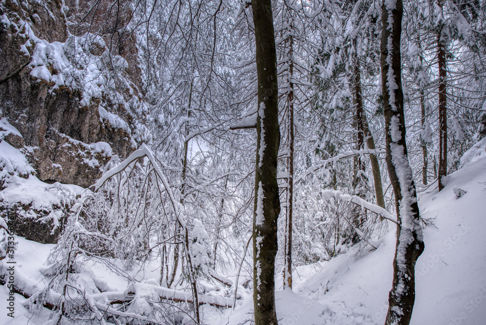 Winter landscape with snowy trees in the mountains with a walkway Winter landscape with snowy trees in the mountains with a walkway