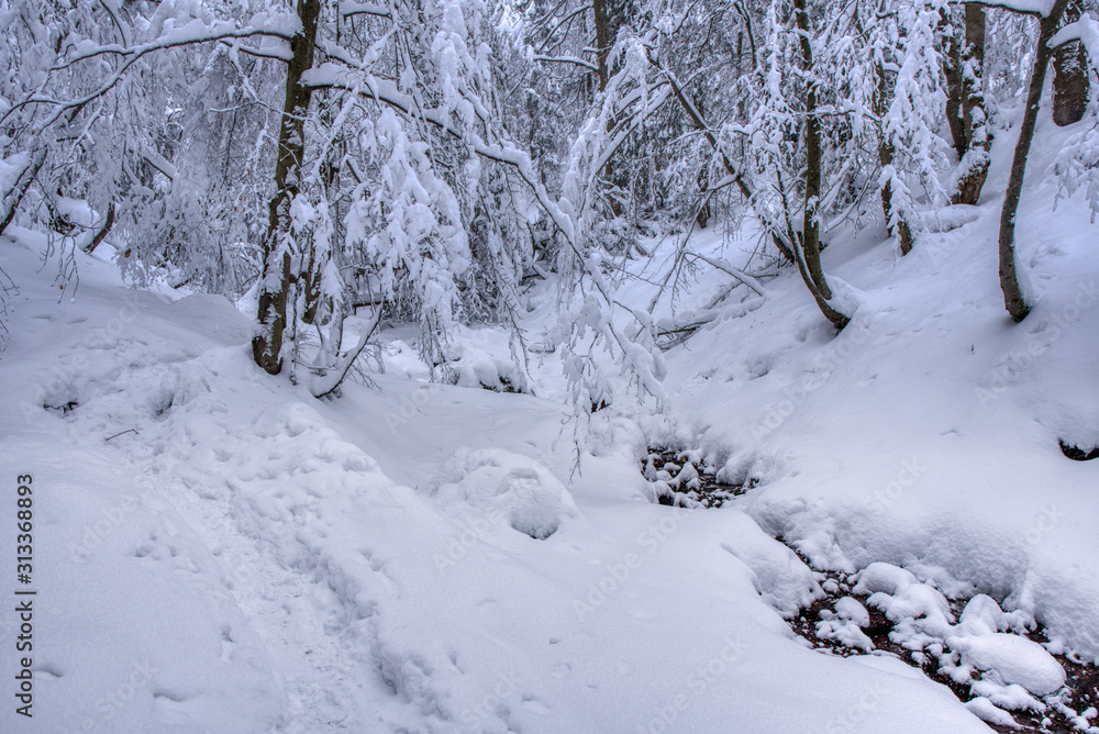 Boreal forest on a cold winter day after the snowstorm , slovakia , mala fatra