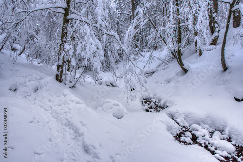 Boreal forest on a cold winter day after the snowstorm , slovakia , mala fatra © Martin