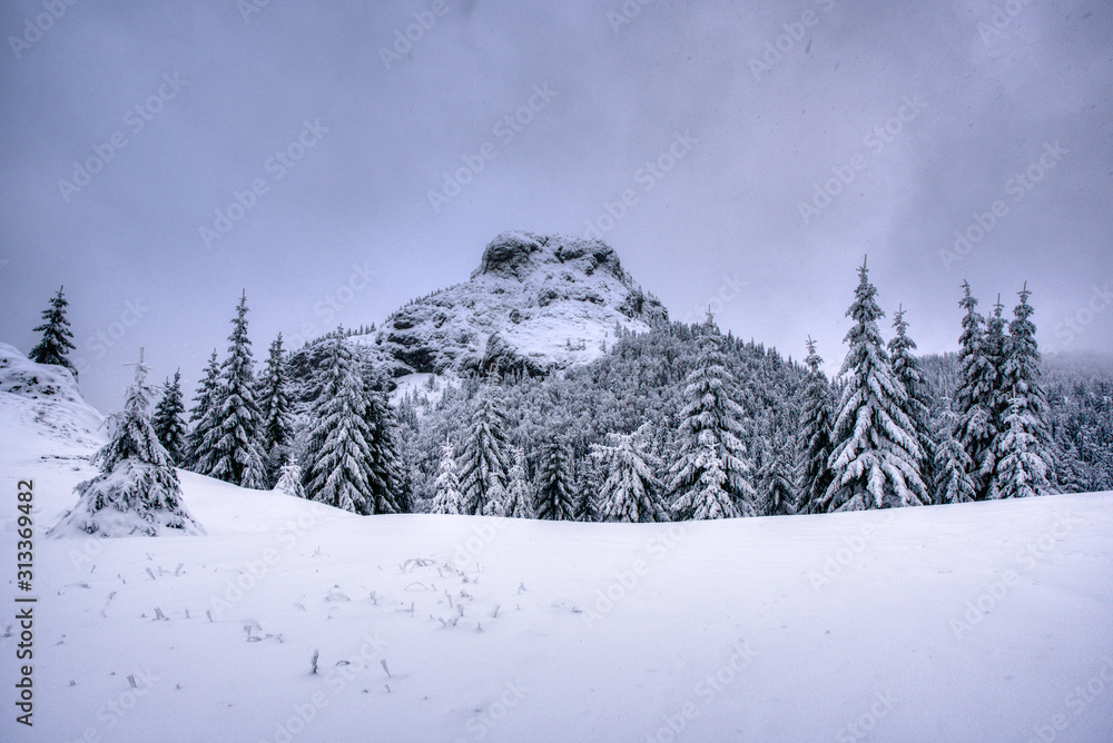 Beautiful winter landscape in the mountains , slovakia mala fatra