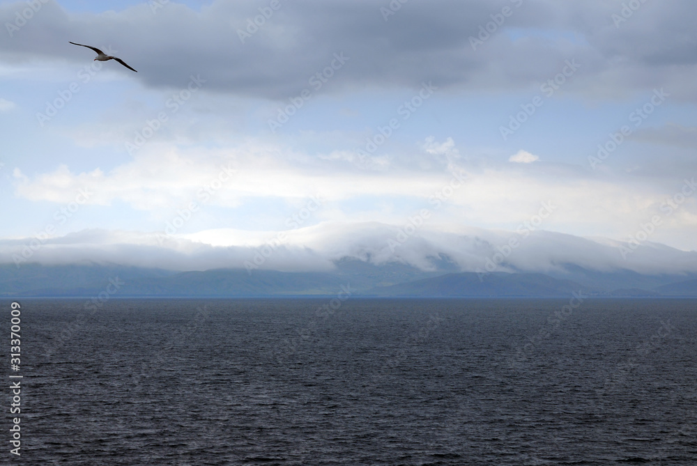 Cloudy sky and seagull above Sevan Lake. Gegharkunik Region, Armenia.