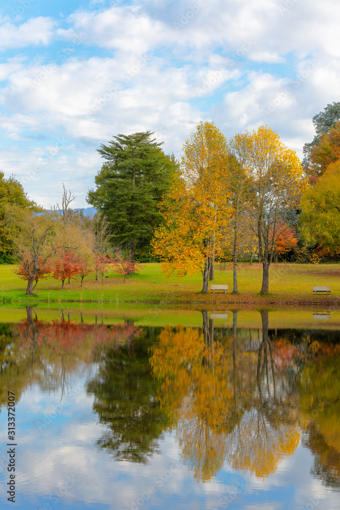 Reflection of autumn colored trees on the water Reflection of autumn colored trees on the water