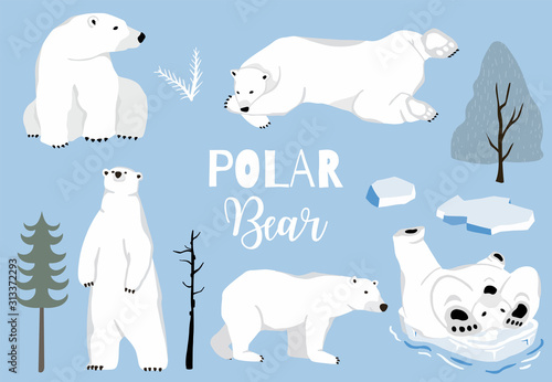 Simple white bear character.Vector illustration character doodle cartoon