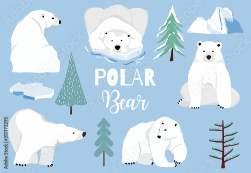 Simple white bear character.Vector illustration character doodle cartoon