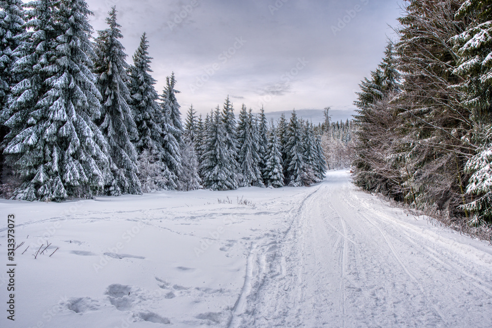 Beautiful winter landscape with snow covered trees , czech beskydy Beautiful winter landscape with snow covered trees , czech beskydy