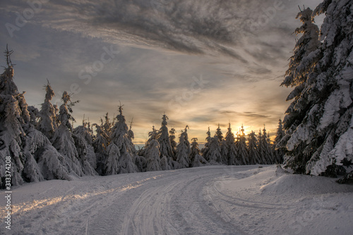 Beautiful winter landscape with snow covered trees in sunset , czech beskydy © Martin
