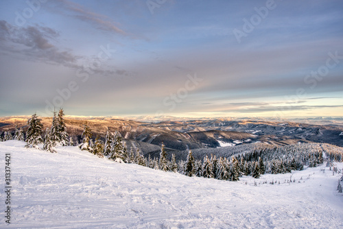 Beautiful winter landscape with small hills and snow-covered fir trees. czech beskydy