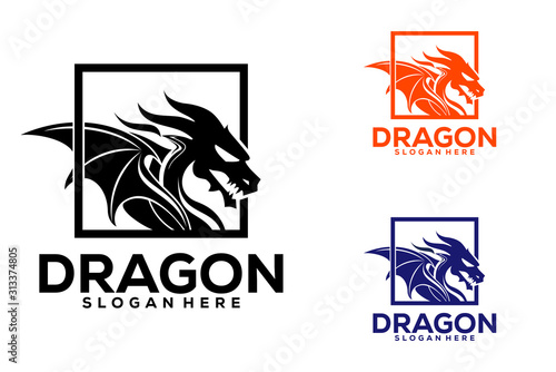 Dragon Logo Icon, Dragon Logo Template, Dragon logo Vector illustration